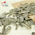 Daily Snacks Sunflower Seeds Dry Type Seeds